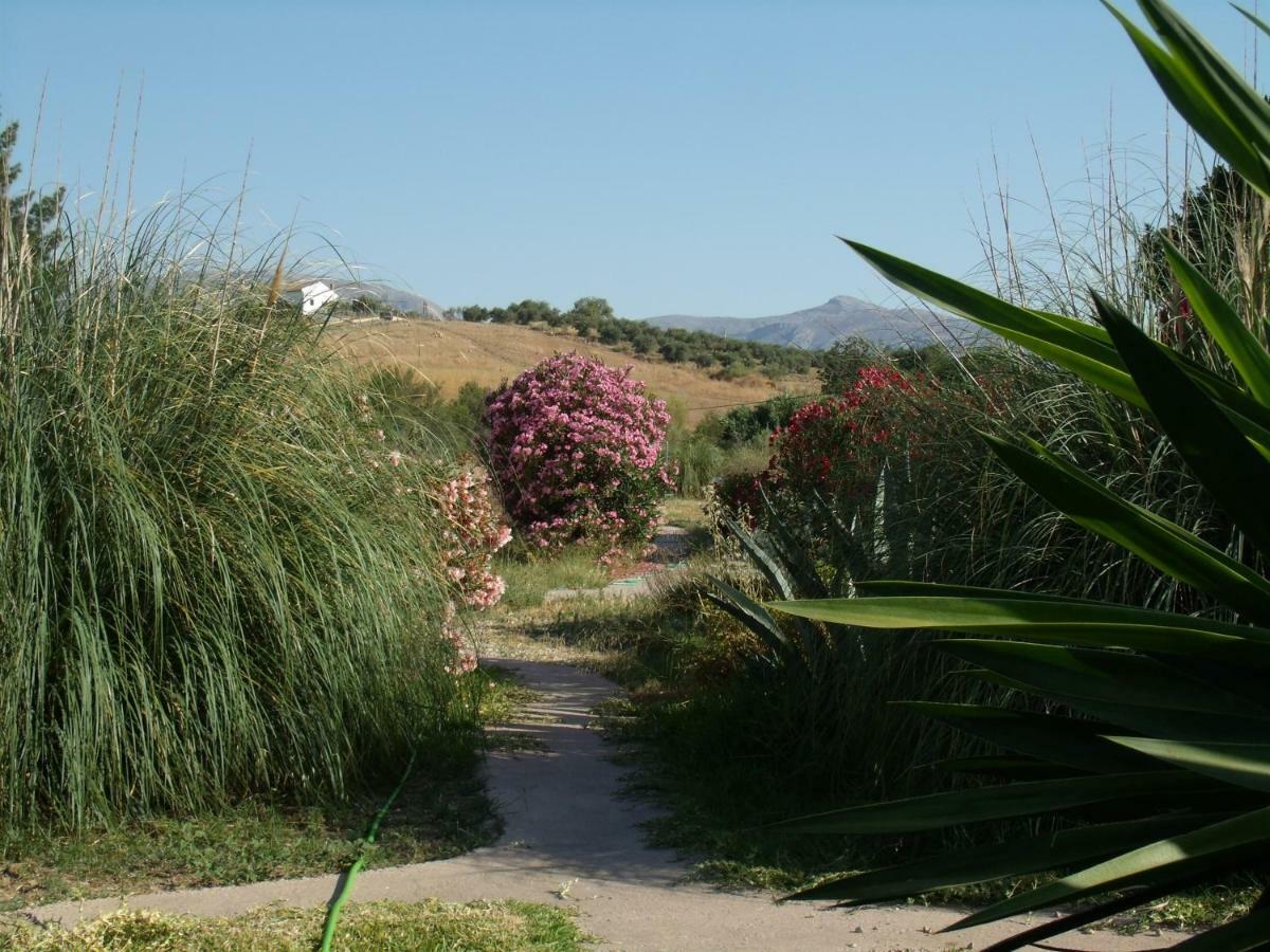 אלורה La Finca Blanca מראה חיצוני תמונה