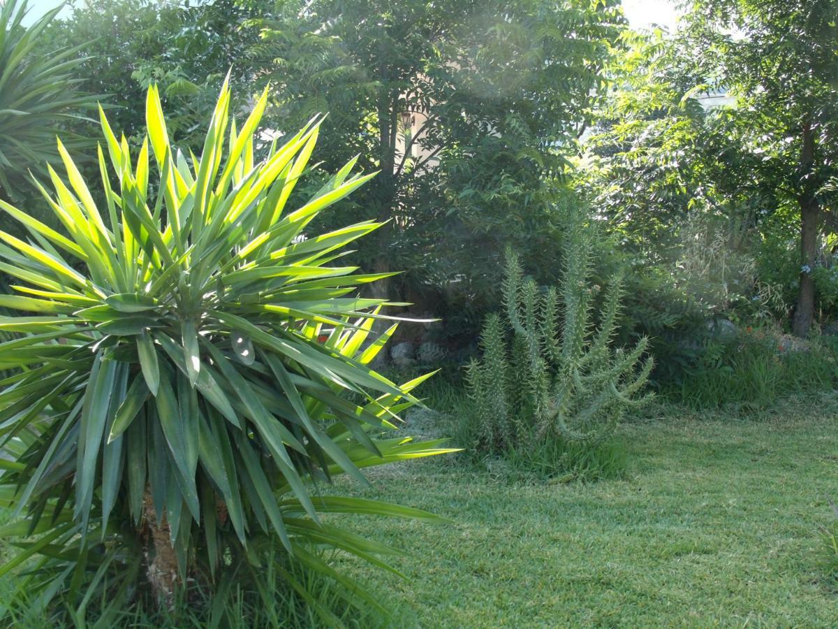 אלורה La Finca Blanca מראה חיצוני תמונה
