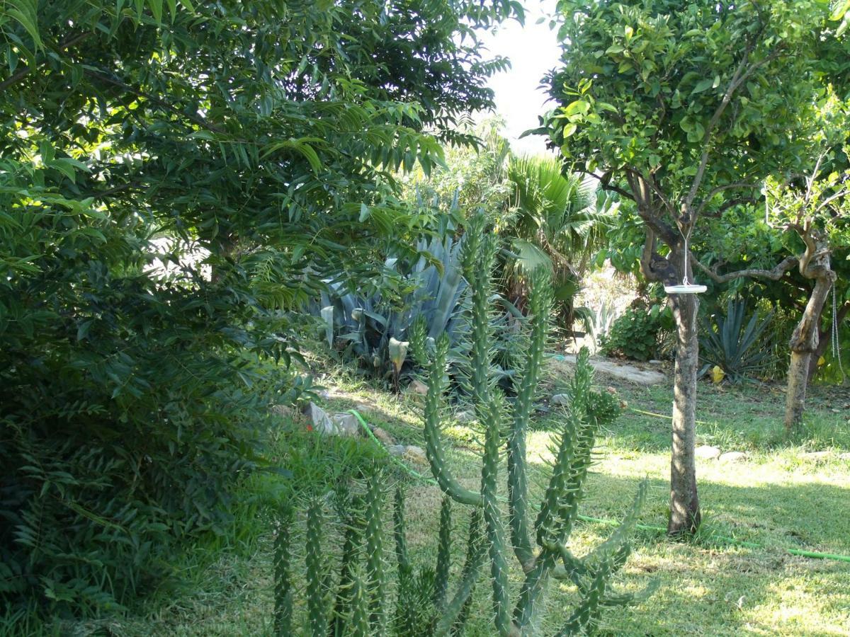 אלורה La Finca Blanca מראה חיצוני תמונה